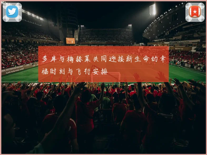 多库与梅赫莱共同迎接新生命的幸福时刻与飞行安排